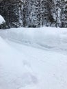 The road through high snowdrifts in the spruce forest after heavy snowfall - winter in the mountains Royalty Free Stock Photo
