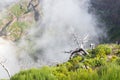 View from the tourist trail to the peak of Ruivo in Madeira on vegetation and dry tree skeletons in fog clouds.