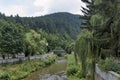 View toward river with bridge and varied plant Royalty Free Stock Photo