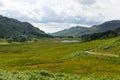 View towards Blea Tarn Lake District Cumbria England UK between Great Langdale and Little Langdale Royalty Free Stock Photo