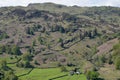 View towards Easedale from the summit of Helm Crag Royalty Free Stock Photo