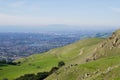 View towards Fremont from the trail to Mission Peak, cattle grazing on the hills, east San Francisco bay, California Royalty Free Stock Photo