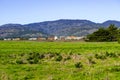 View towards the houses in Half Moon Bay on a clear day, California Royalty Free Stock Photo