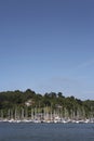 View towards kingswear marina Royalty Free Stock Photo