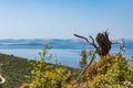 View towards Kornati islanda from mount Bokol