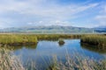 View towards Mission Peak; waterways at; Don Edwards Wildlife Refuge, south San Francisco bay, Alviso, San Jose, California Royalty Free Stock Photo