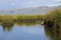 View towards Mission Peak; waterways at; Don Edwards Wildlife Refuge, south San Francisco bay, Alviso, San Jose, California