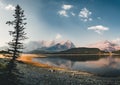 View towards mountains and lake with reflection and tree in Lower Kananaskis Lake of Peter Lougheed Provincial Park