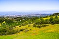 View towards Redwood City and Menlo Park; hills and valleys covered in green grass and wildflowers visible in the foreground,