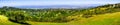 View towards Redwood City and Menlo Park; hills and valleys covered in green grass and wildflowers visible in the foreground,