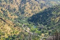 View towards the road and the camping area, Stebbins Cold Canyon, Napa Valley, California