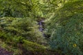 A view towards Scaleber Force Waterfall in the Yorkshire Dales close to Settle, Yorkshire