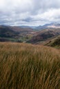 A view Towards Skiddaw and Bassenthwaite Lake, Lake District