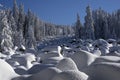 Snowy moraines and pine trees in Vitosha mountain, Bulgaria Royalty Free Stock Photo