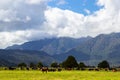 view towards southern alps range, New Zealand Royalty Free Stock Photo