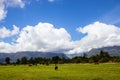 view towards southern alps range, New Zealand Royalty Free Stock Photo