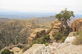 View Towards Tucson from Windy Point Vista Royalty Free Stock Photo