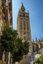 A view of the tower of the cathedral of St Mary in Seville, Spain Royalty Free Stock Photo