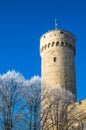 View of the tower Long Herman in Tallinn