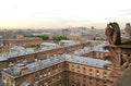 The View from the tower of Notre Dame de Paris