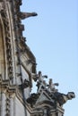 View from the towers of the Notre Dame Cathedral in Paris, France