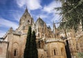 View of the towers of the old cathedral and the new cathedral of the city of Salamanca in Spain Royalty Free Stock Photo