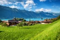 View on the town and Interlaken lake. Natural landscape.