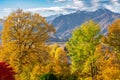 View from the town Murnau to the alps