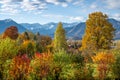 View from the town Murnau to the alps