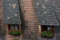 View from town wall of facades and roofs of medieval old town Rothenburg ob der Tauber, Bavaria, Germany. November 2014 Royalty Free Stock Photo