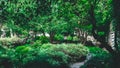 View of traditional garden at Lingering Garden Scenic Area, Suzhou, Jiangsu, China Royalty Free Stock Photo