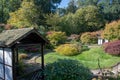 View of traditional Japanese style Garden Royalty Free Stock Photo