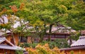 The view of traditional Japanese tiled roof through the leaves of autumn trees. Japan Royalty Free Stock Photo