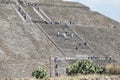 Prickly pear plant accompanies the ascent by stairs of tourists to the pyramid of the sun in Teotihuacan, Mexico.