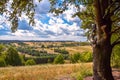 View on a traditional, polish village situated between hills in the summer. Fields overgrown with wheat and other grains in the