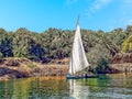 A view of traditional river traffic on the Nile near Aswan, Egypt