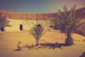 View of the traditional underground houses troglodytes. Tunisia.