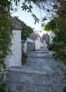 View of traditional white washed dry stone trulli houses on a street in the Rione Monti area of Alberobello in Puglia in Italy