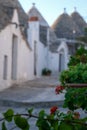 View of traditional white washed dry stone trulli houses on a street in the Rione Monti area of Alberobello in Puglia Italy