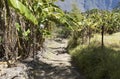 View of trail in Cirque de Mafate Royalty Free Stock Photo