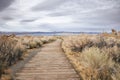 View of a Trail Leading to a Saline Soda Lake in Eastern Sierra Navada Mountains on a Cloudy Day Royalty Free Stock Photo