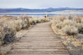 View of a Trail Leading to a Saline Soda Lake in Eastern Sierra Navada Mountains on a Cloudy Day Royalty Free Stock Photo