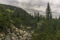 View from a trail Western Tatra Mountains Slovakia Royalty Free Stock Photo