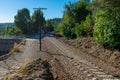 View of the train track that runs through a pine forest Royalty Free Stock Photo