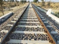 View of the train tracks in the middle of the forest outside the city Royalty Free Stock Photo