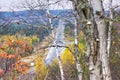 Birch trees overlooking the Transcanada Highway from the town of Royalty Free Stock Photo