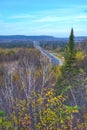 Birch trees overlooking the Transcanada Highway from the town of Royalty Free Stock Photo