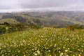 View from the top of the mountain