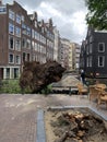 View of a tree fell into canal after a storm Royalty Free Stock Photo
