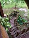 View from a tree house